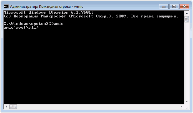 рис.1. Прописывается команда wmic