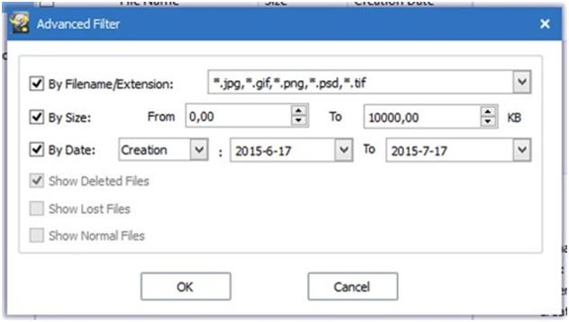 Для ускорения сканирования используется опция поиска по фильтру «AdvancedFilter», при помощи которого сужается круг поиска путем указания типа файла, даты создания или его размера