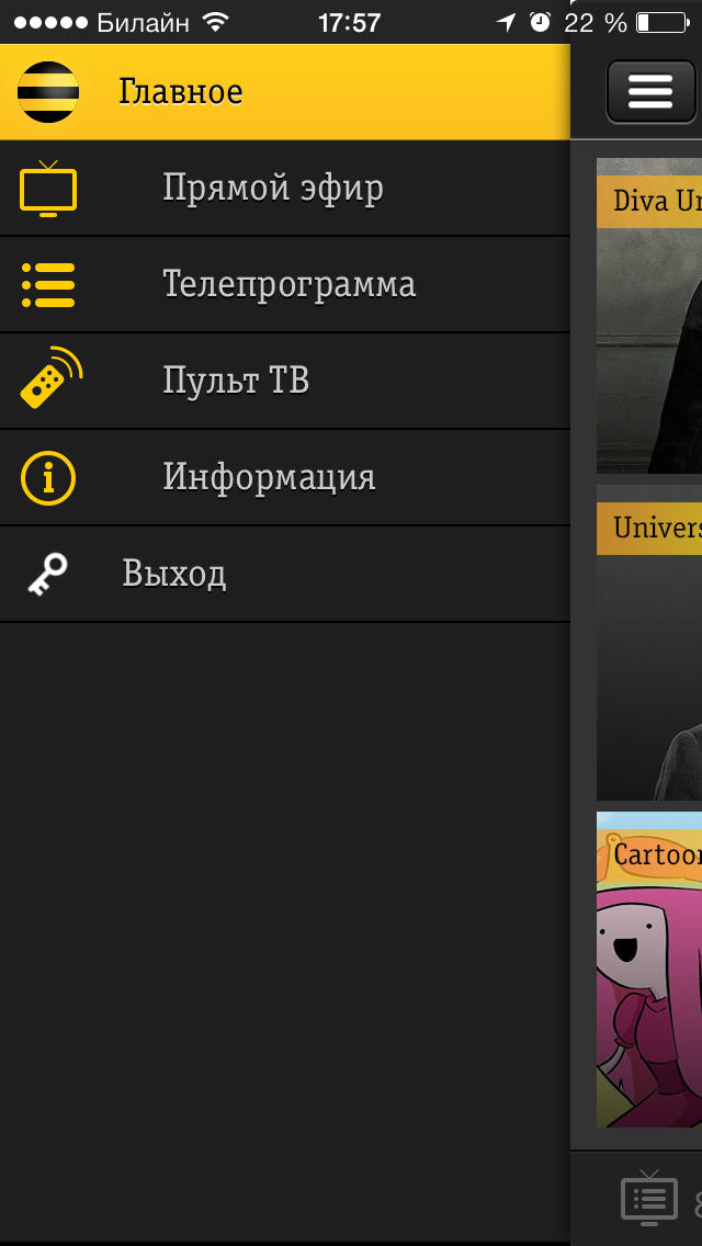 Для этого закажите пакет Лайт или Базовый, который сделает доступными развлекательные передачи