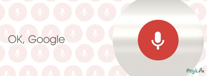 Установка голосового поиска от google на ПК