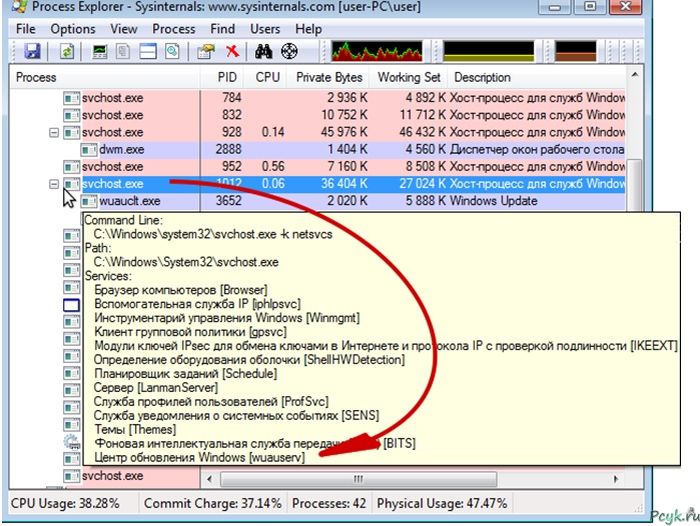 Отображение процесса svchost в программе Process Explorer