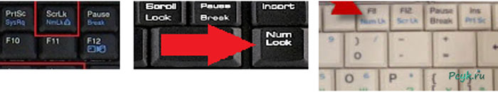 Меняется расположение клавиши «num lock» или ее режим доступен после одновременного нажатия с функциональной кнопкой
