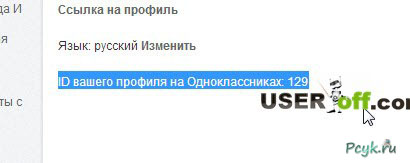 ID страницы