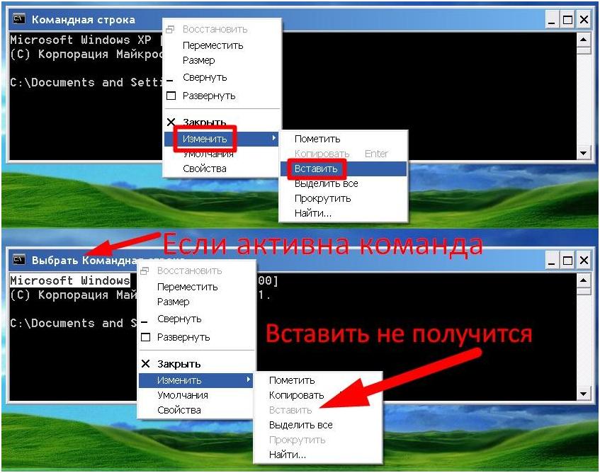 Копирование команды в cmd, или произвольного текста, отдельной клавишей не предусмотрено – только через контекстное меню