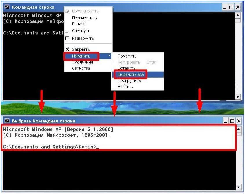 Если нужно выделить все, то правой кнопкой мыши или сочетанием Alt+Пробел вызывается контекстное меню, где выбирается «Изменить» и «Выделить все» – готово
